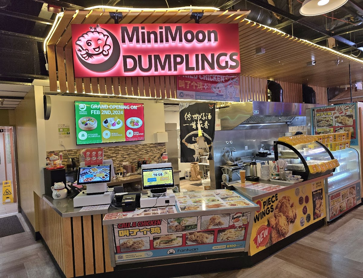 Minimoon Dumplings